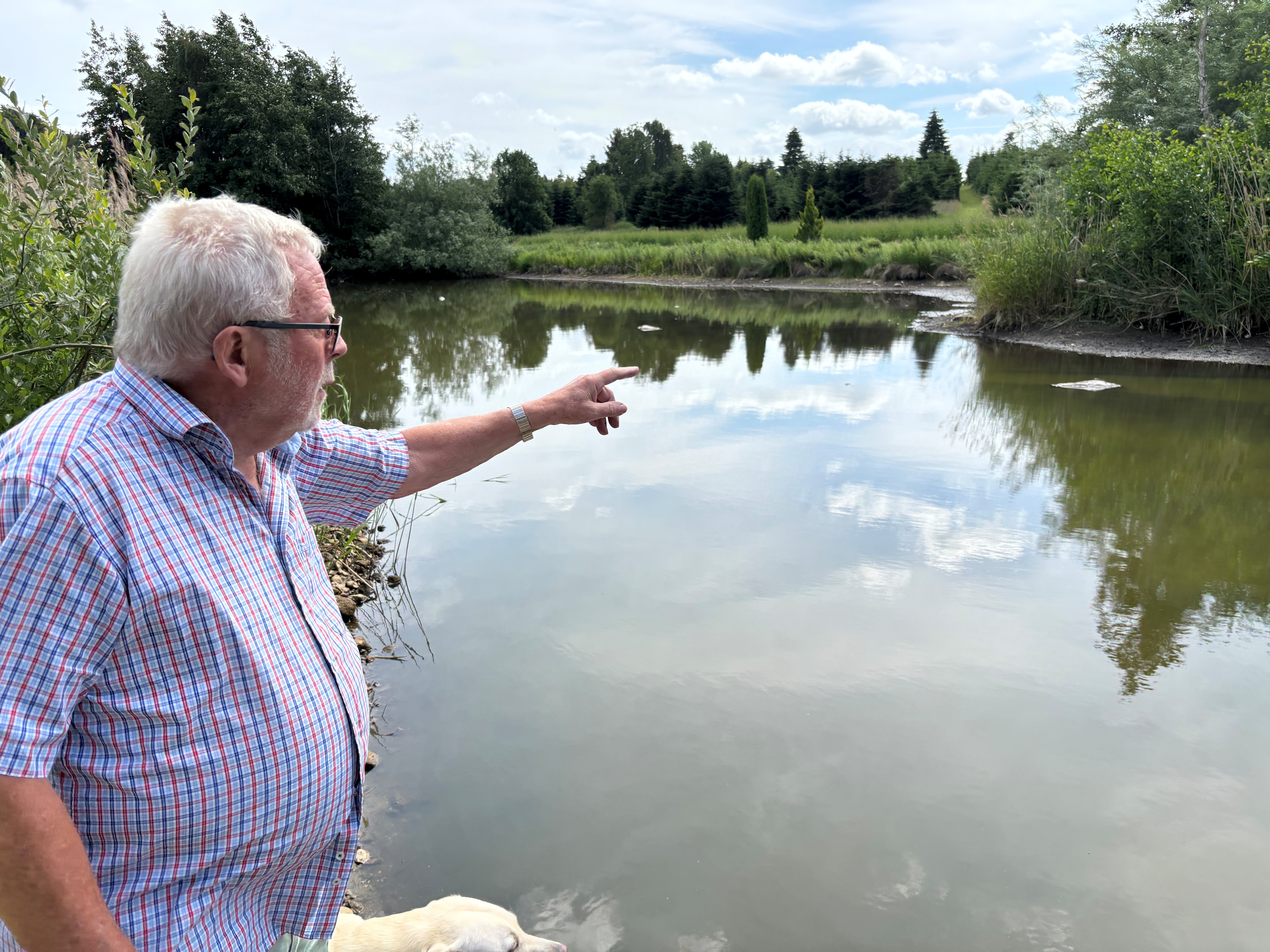 Finn Borre tæller de døde fisk i Lindegårdens sø. Søen er tæt på at tørre helt ud som følge af en sænkning af grundvandsspejlet.