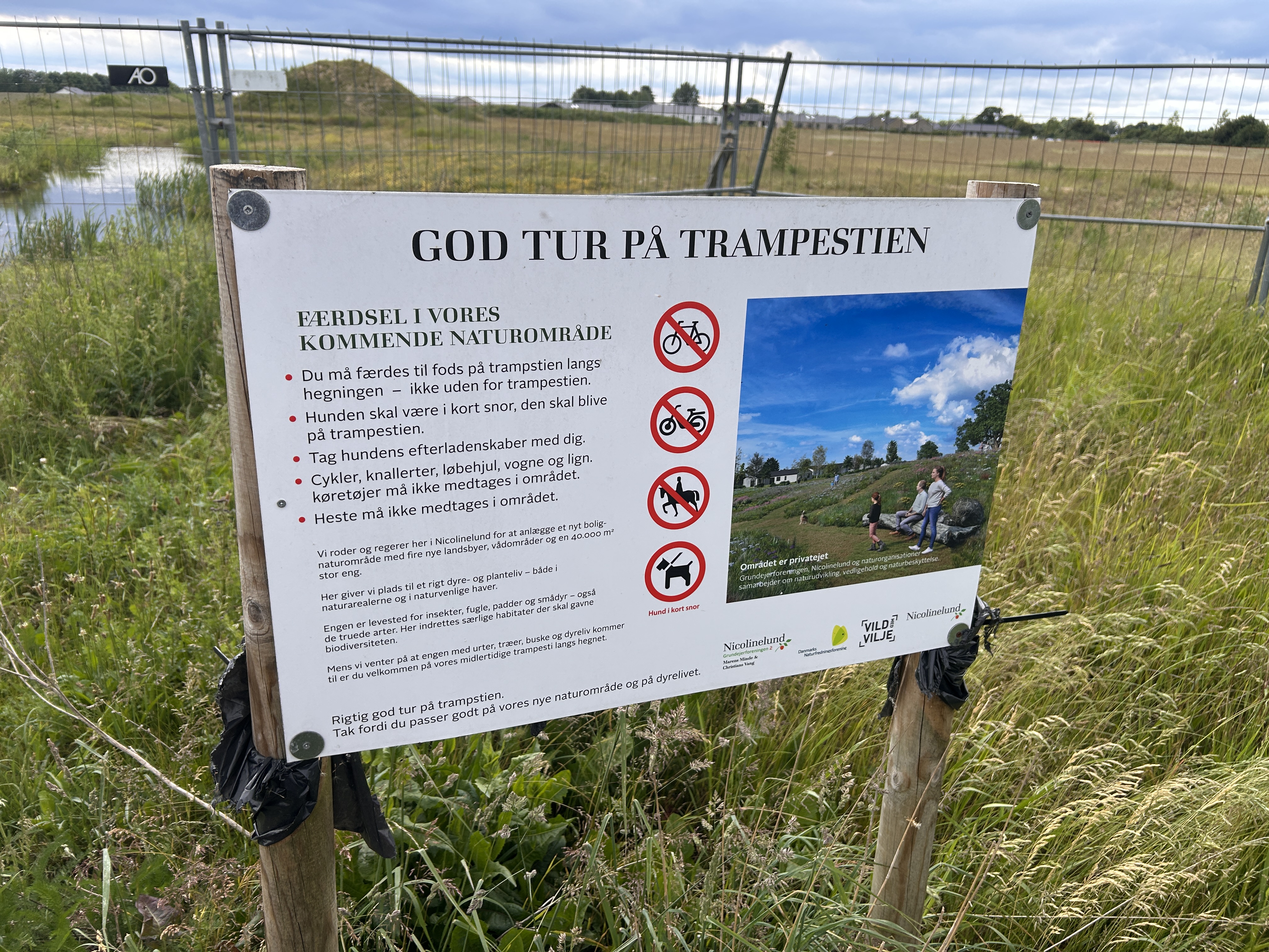 Det skal i langt højere grad i dag kunne dokumenteres, hvad det vand, man ønsker at lede væk fra Nicolinelund-bebyggelserne, indeholder, og hvordan det påvirker miljøet, det ledes ud i, oplyser miljøleder i Stevns Kommune.