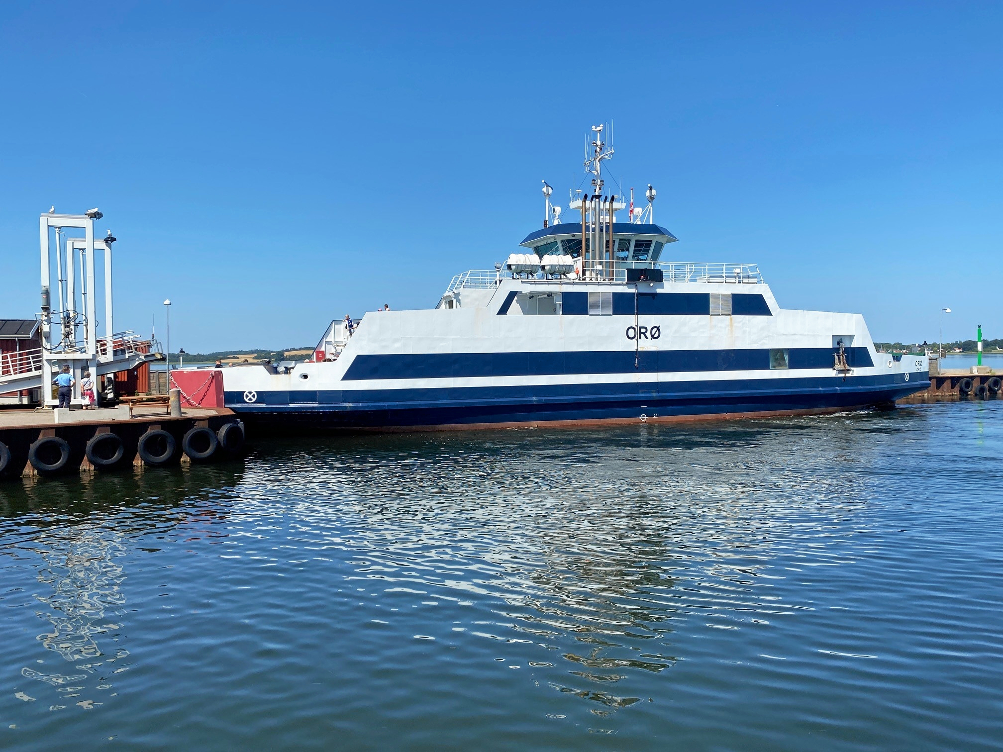 Orøfærgen har denne sommer ind imellem grisetransporter med.