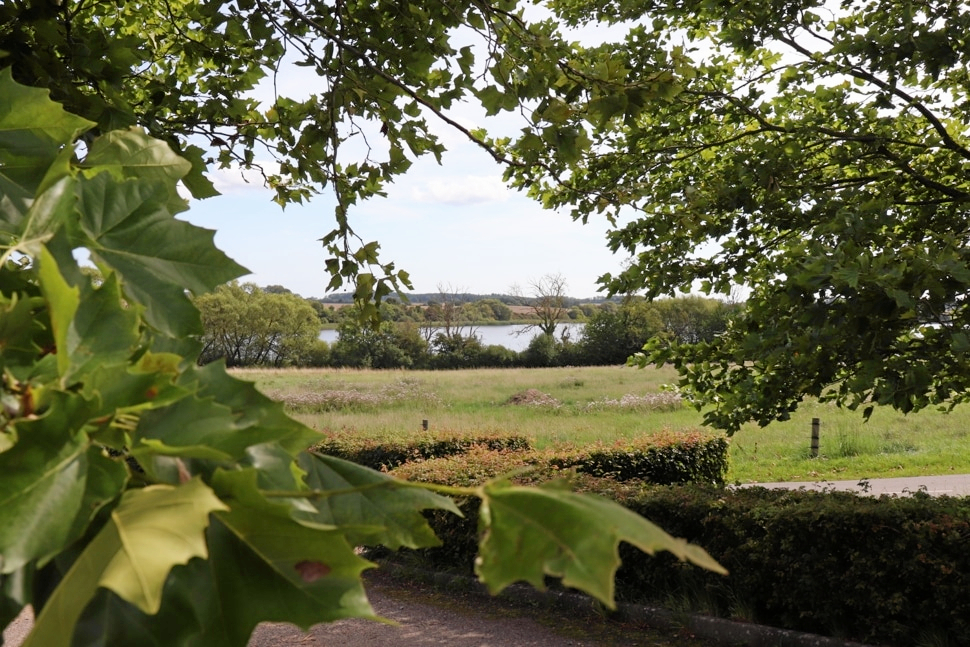 Idyllen er stor omkring Kimmerslev Sø - og nu kan man igen bade i søen, efter at der er lavet nye badevandsprøver.