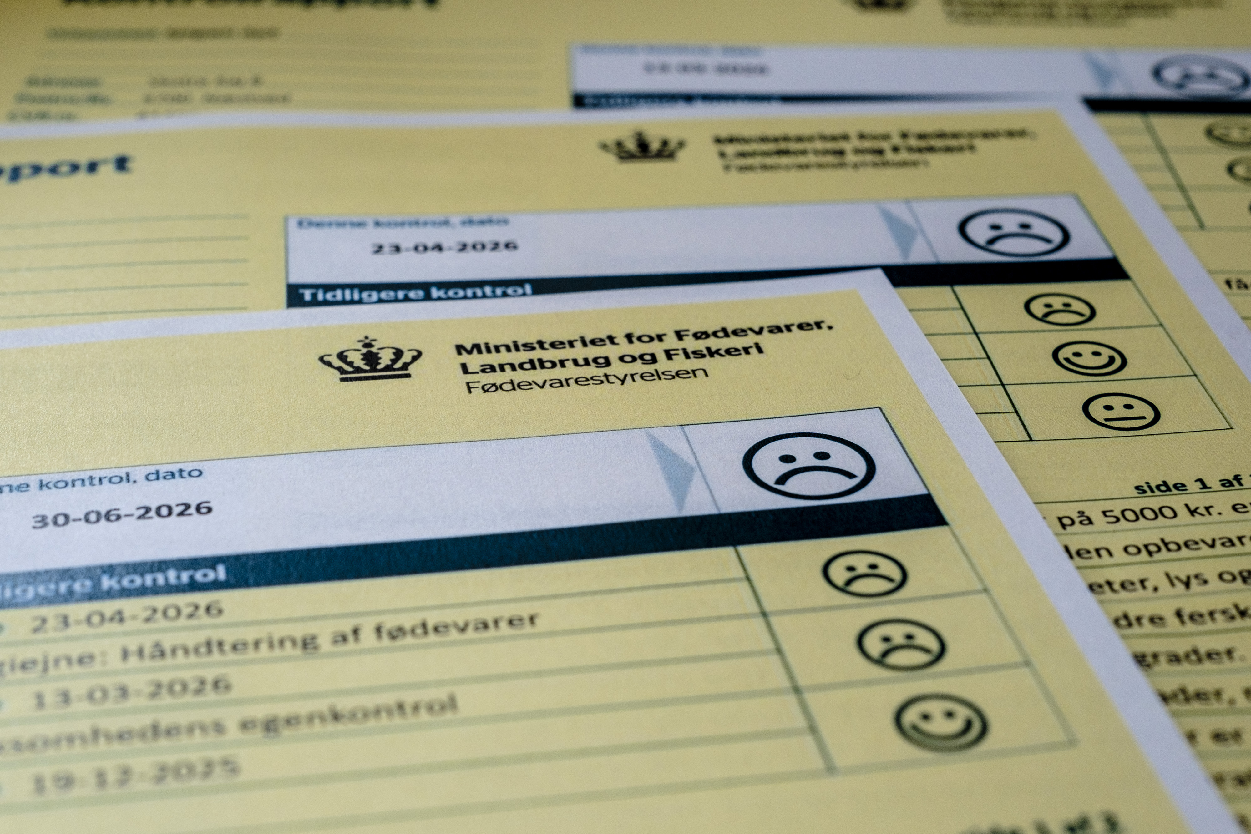 Et besøg fra Fødevarestyrelsen endte med en indskærpelse til Madservice Viby.
