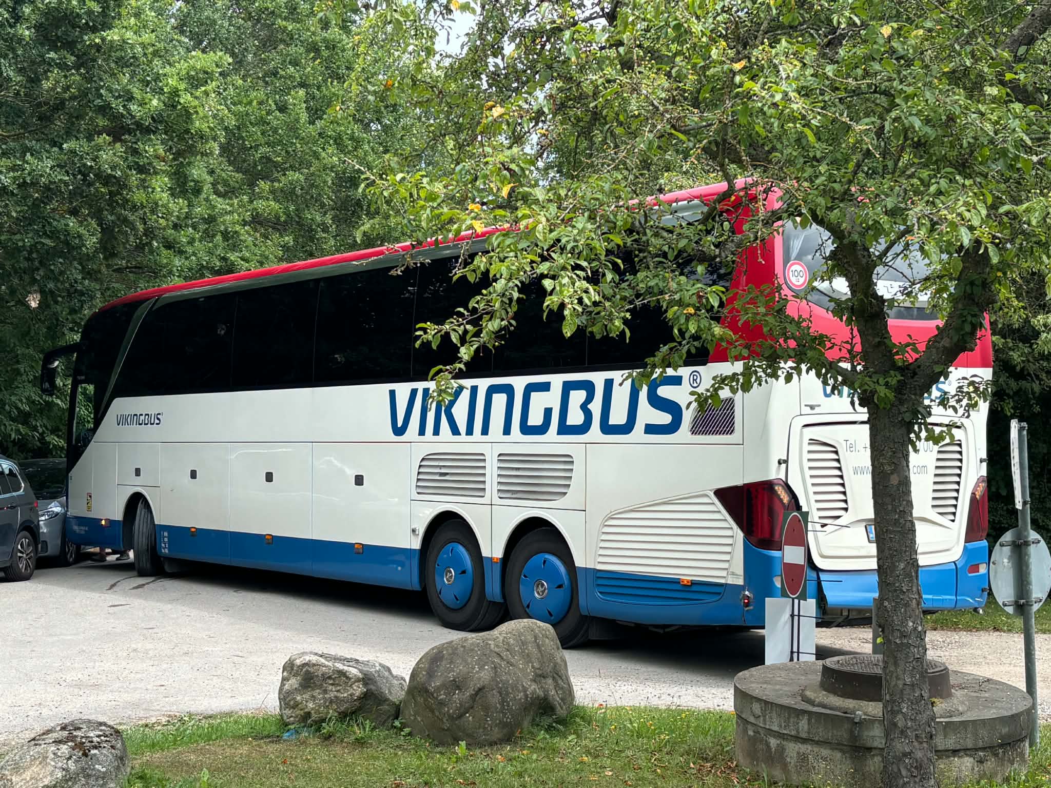 Vikingbussen var ifølge Haveforeningen Brandhøjs bestyrelse fyldt med små, søde spejdere.