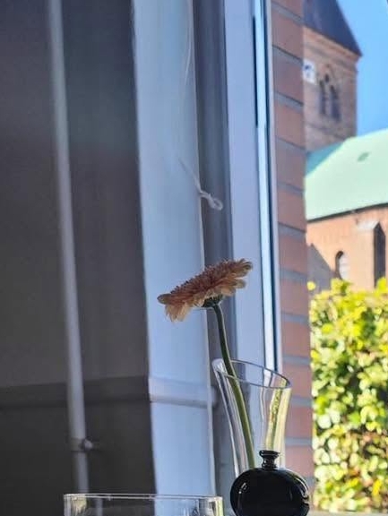 Mange borgere i Ringsted har et forhold til Restaurant Italy, som nu drejer nøglen om. - Facebook Mange borgere i Ringsted har et forhold til Restaurant Italy, som nu drejer nøglen om.