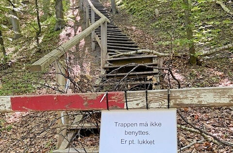 Det hele startede med en misligholdt trappe. Den er nu fikset, men LA vil nu afsætte flere penge til naturområdet.