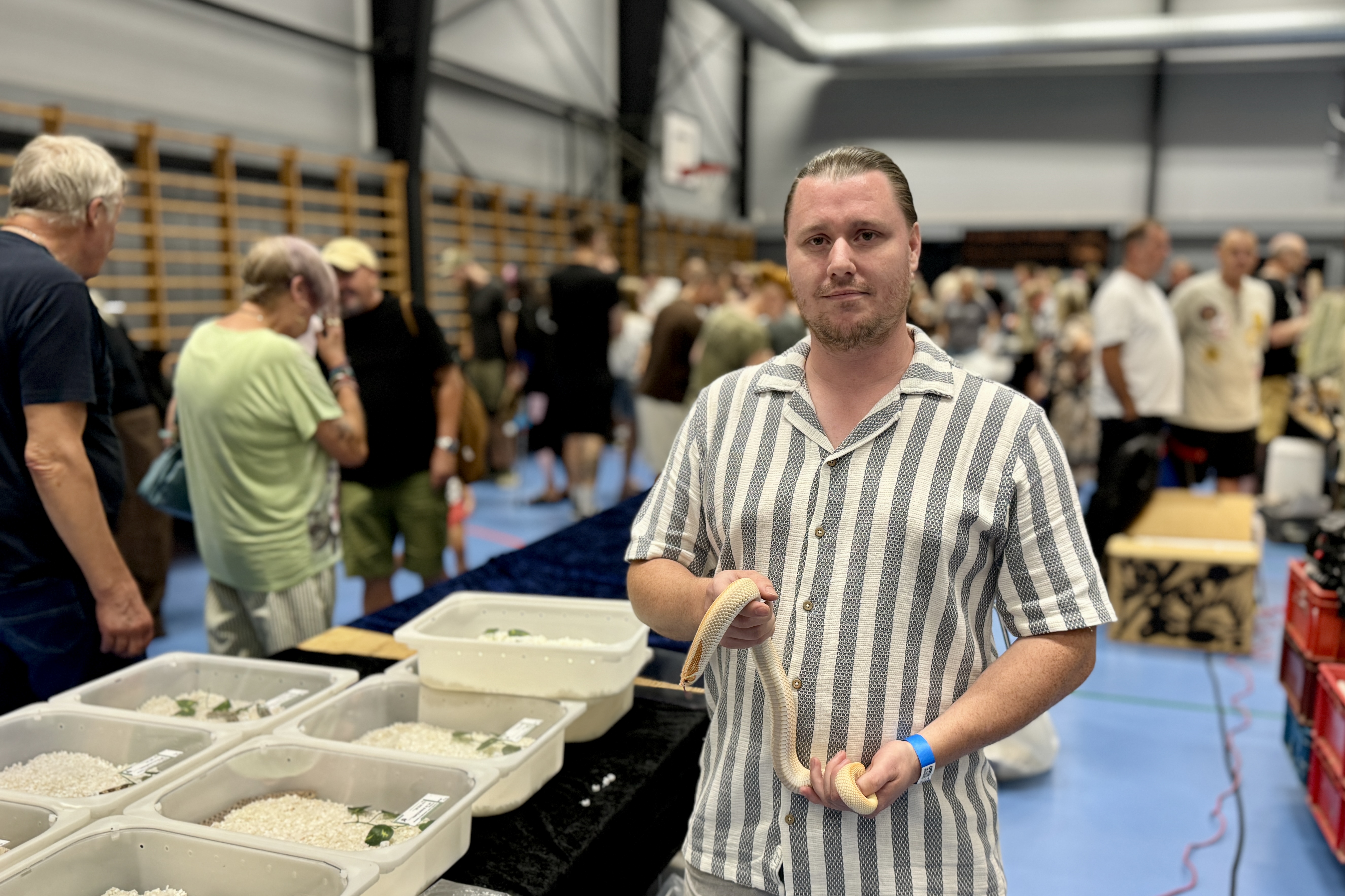Den 35-årige Lasse Larsen fra Næstved har haft en fascination af krybdyr, så længe han kan huske. I dag opdrætter han blandt andet trynesnoslanger hjemme på familiens husmandssted.