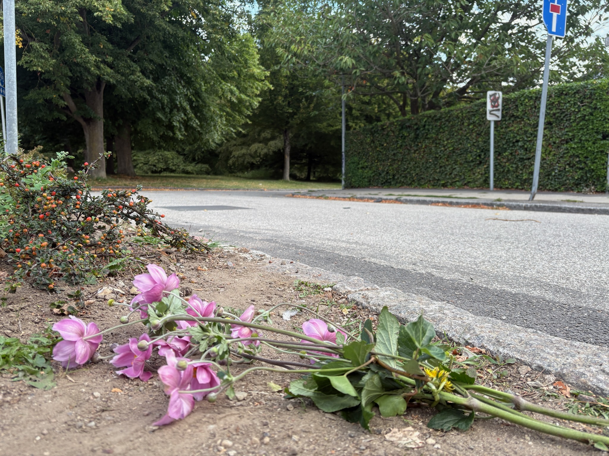 Den første buket er lagt ved gerningsstedet. Louisevej er helt ryddet nu og ligner igen en almindelig villavej uden spor af de voldsomme hændelser i går.