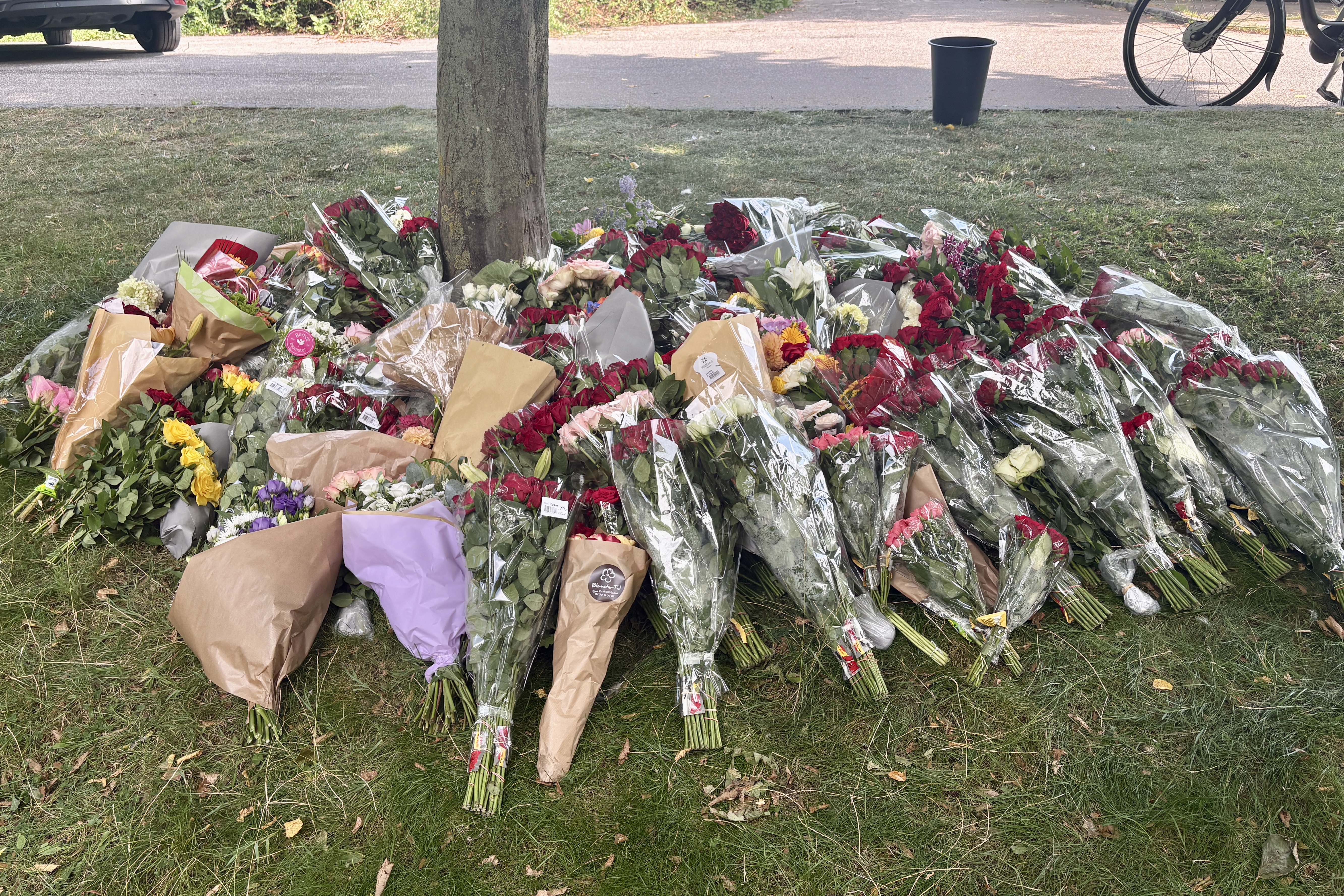 Stedet i Folkeparken, der på mindre end et døgn gik fra festplads til gerningssted og mindested.