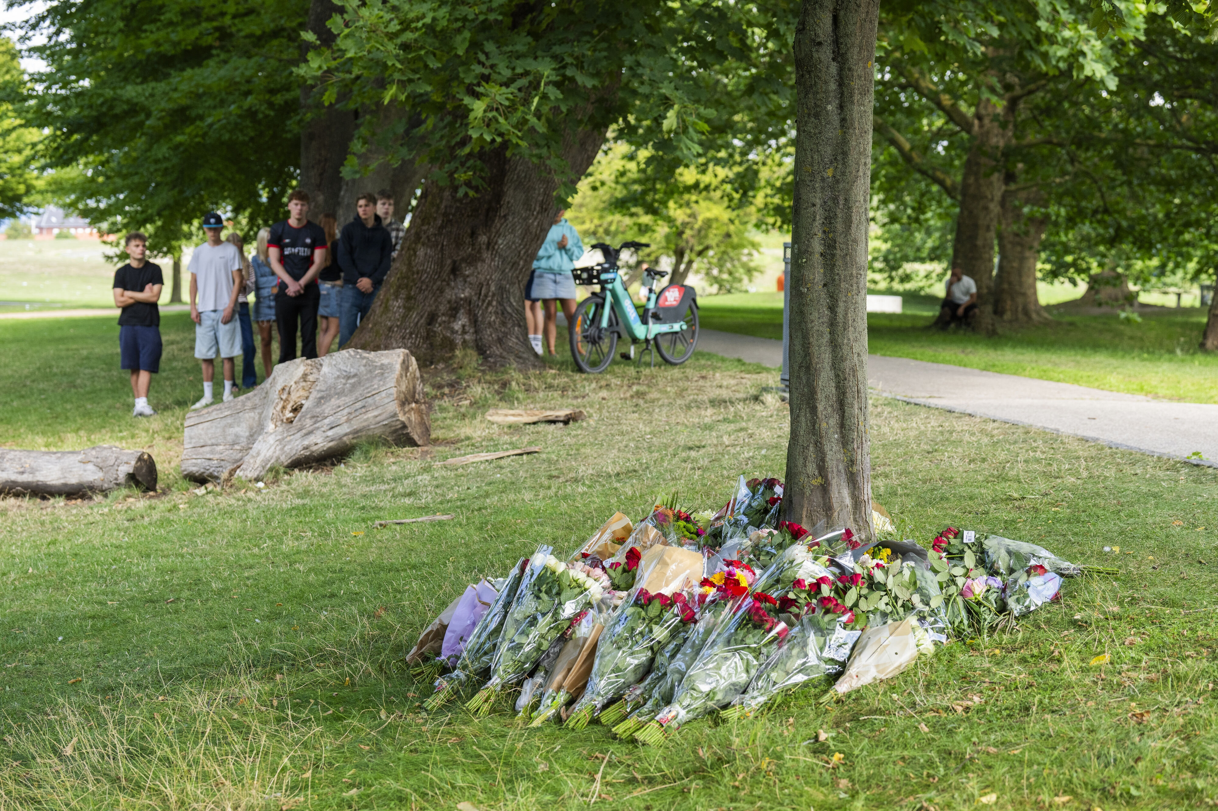Der blev lagt blomster i Folkeparken i Roskilde efter drabet på en 16-årig gymnasieelev. (Arkivfoto)