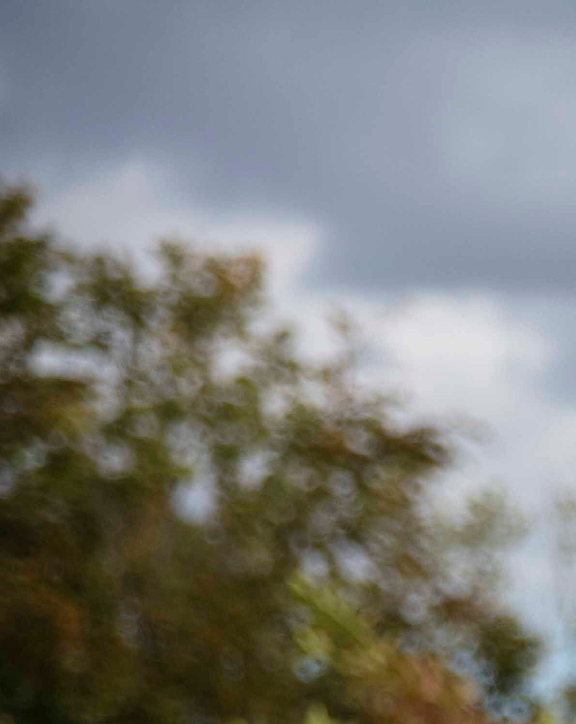 Vinder af den individuelle Pro-turnering, Jonathan Gøth-Rasmussen, Søllerød Golfklub, med scoren -9. - Presse Vinder af den individuelle Pro-turnering, Jonathan Gøth-Rasmussen, Søllerød Golfklub, med scoren -9.