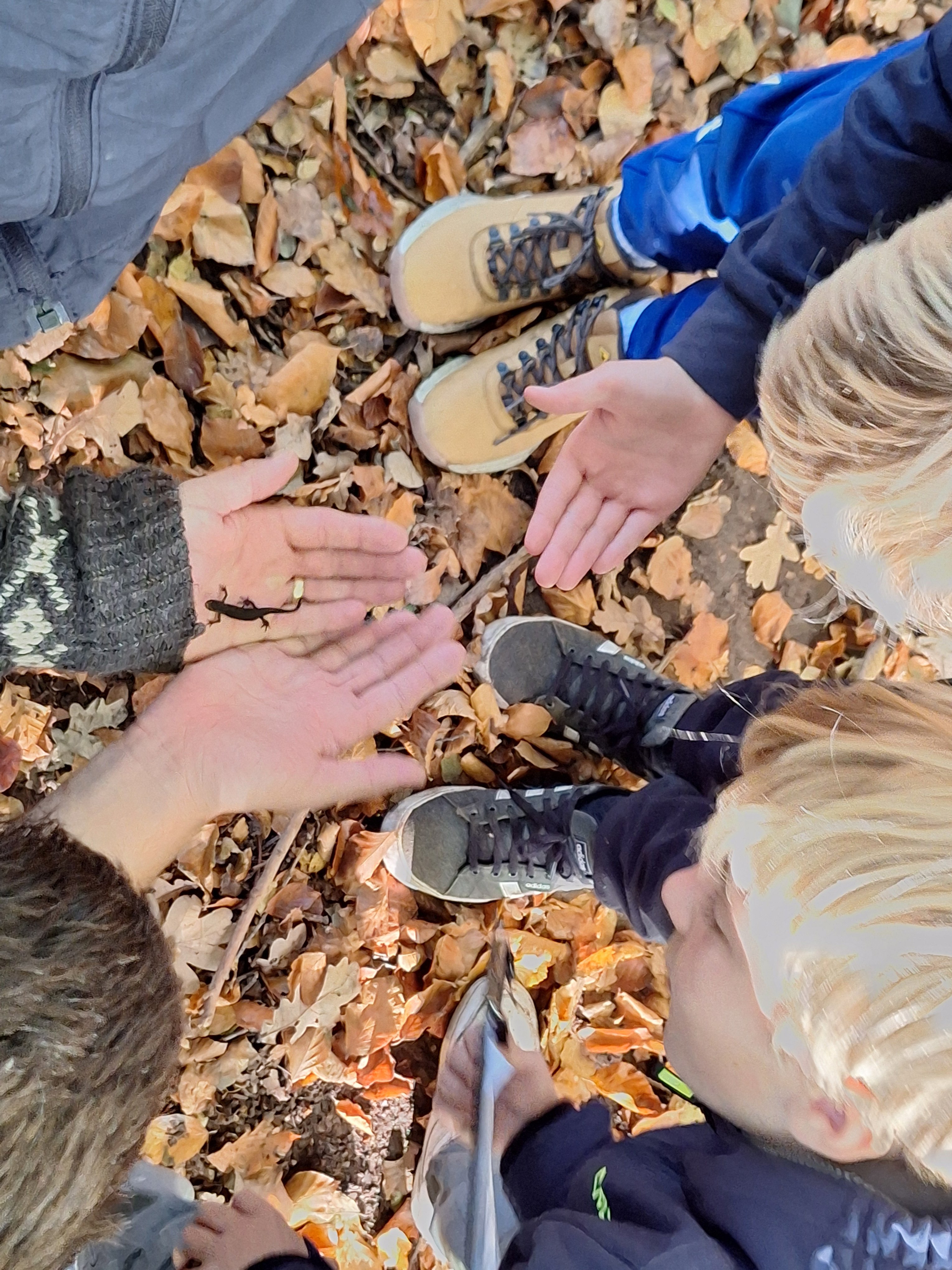Deltagerne begynder eftermiddagen udendørs i bibliotekets park, hvor naturvejleder Jacob Nøhr Schubart fører alle med på opdagelse blandt smådyr og insekter.