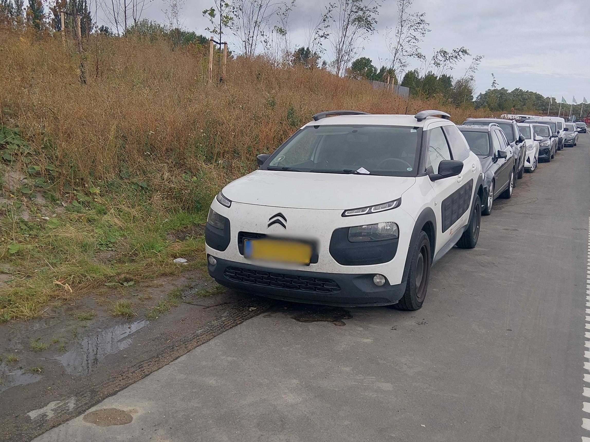 Den venlige påmindelse virkede ikke, og 20 bilister har fået en parkeringsafgift.