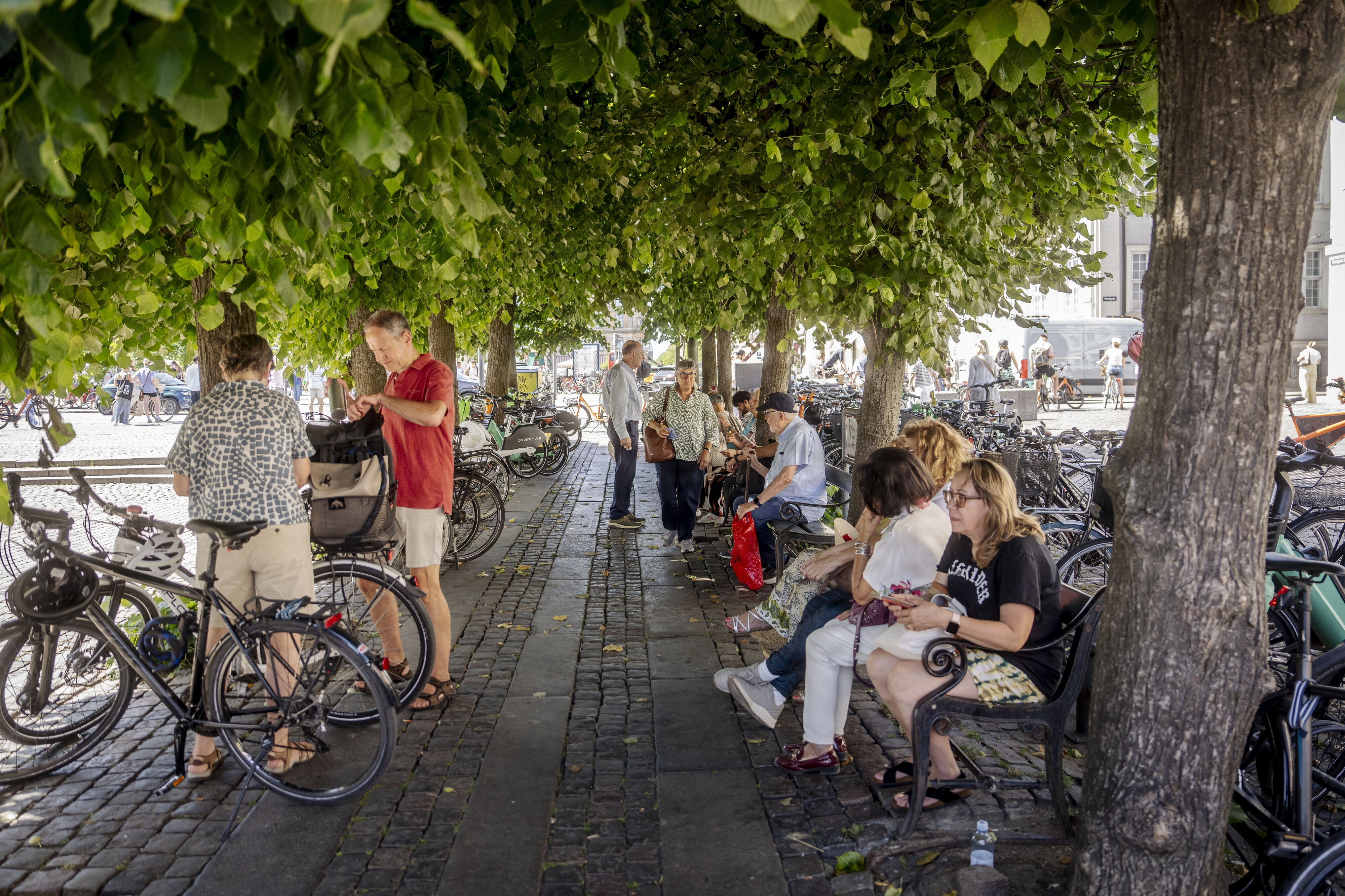 Der er relativt høje temperaturer i vente denne uge. Torsdag kan den nogle steder komme op på 25 grader, siger DMI. (Arkivfoto).