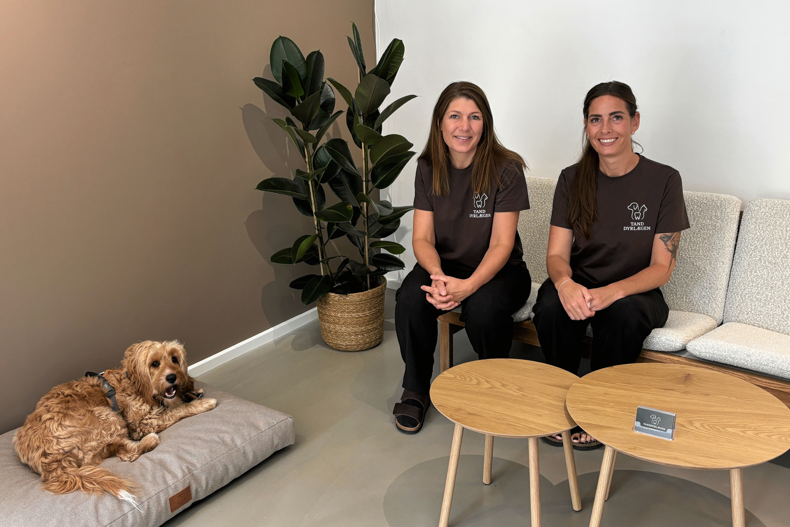 Duoen bag Danmarks første tandklinik for hunde og katte.