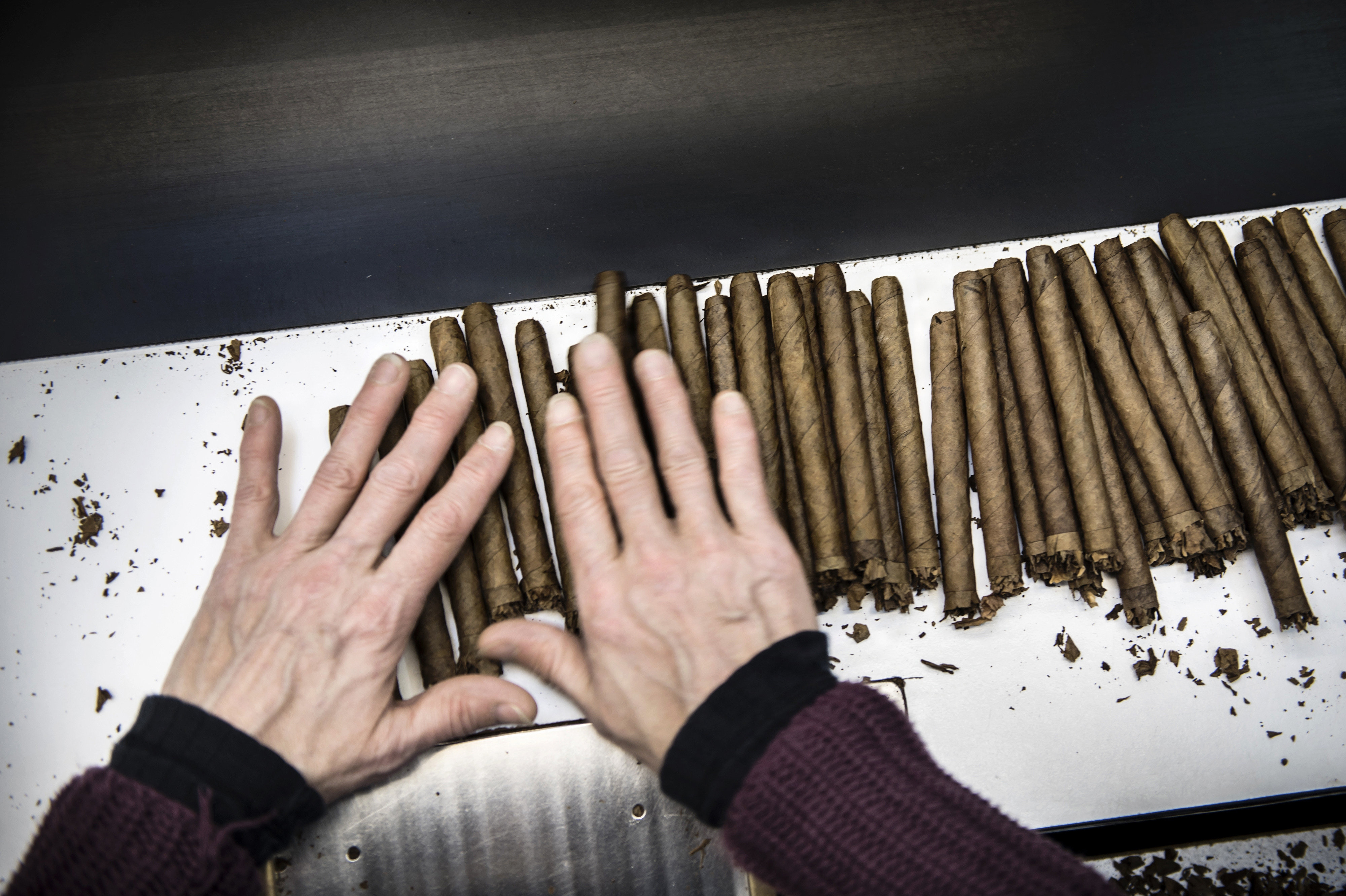 Det internationale salg af håndrullede cigarer oplevede en organisk vækst på fem procent i løbet af årets første seks måneder sammenlignet med første halvår 2025. Det viser et netop offentliggjort regnskab onsdag. (Arkivfoto).