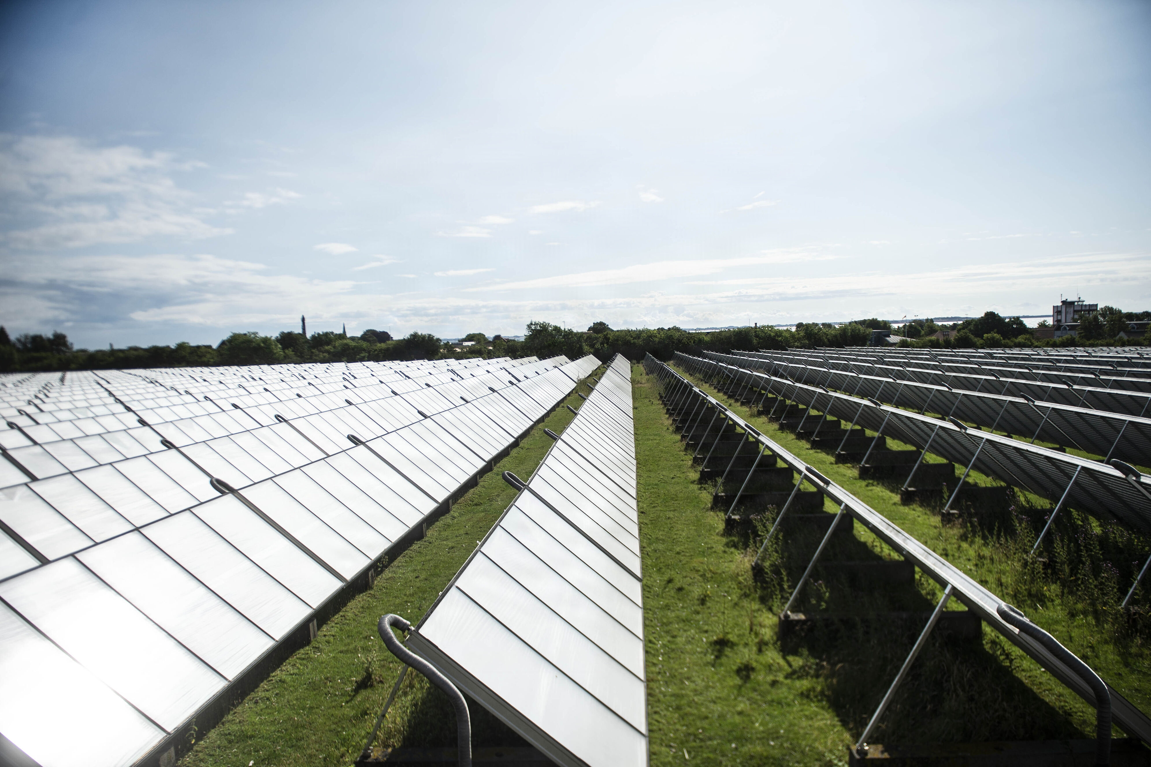 De danske solceller har suget til sig over sommeren. De har produceret rekordmeget strøm i forhold til tidligere somre. (Arkivfoto).