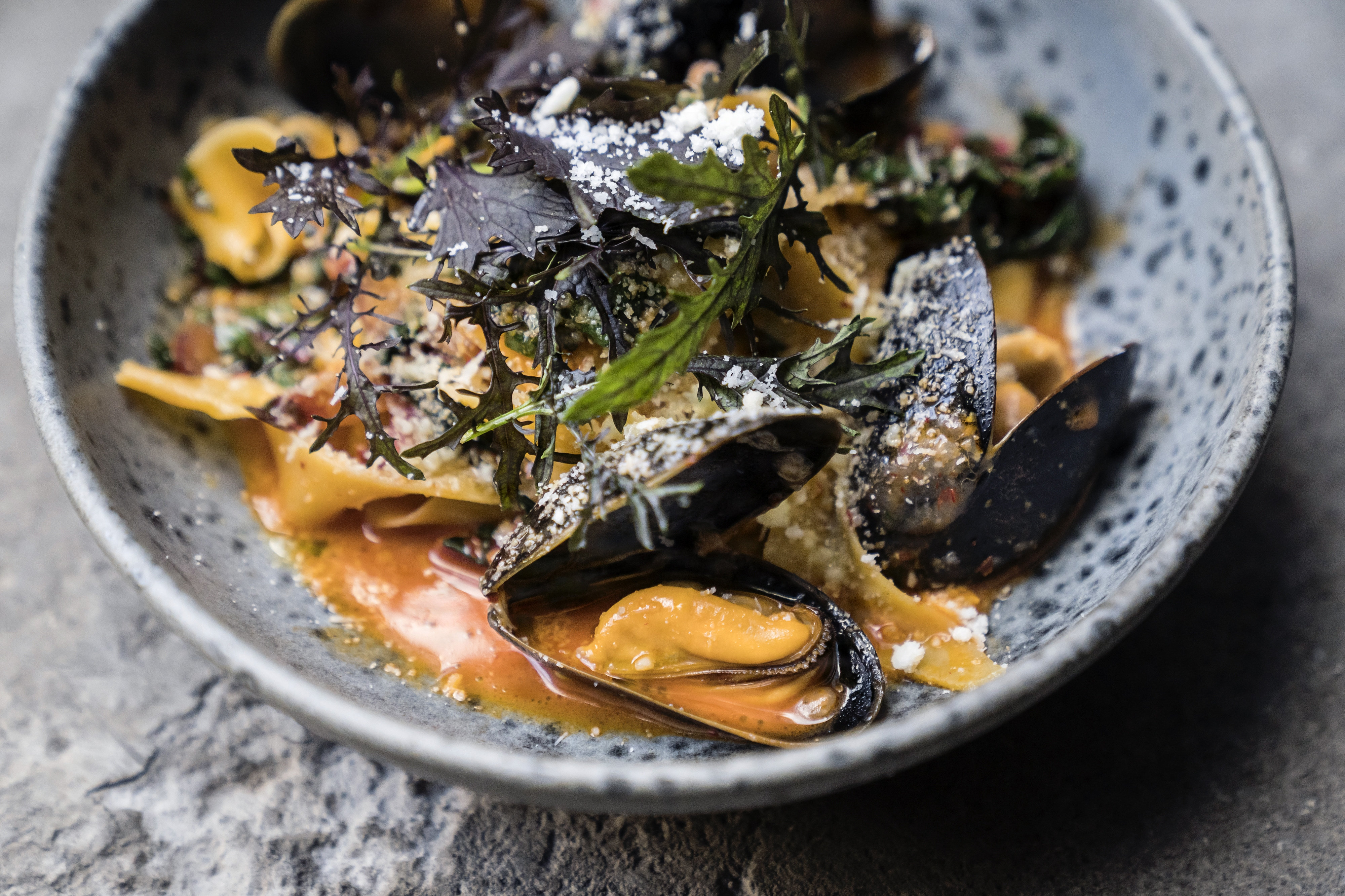 Fiskeri af blåmuslinger, som her ses i en pastaret, begrænses i den kommende fiskerisæson. (Arkivfoto).