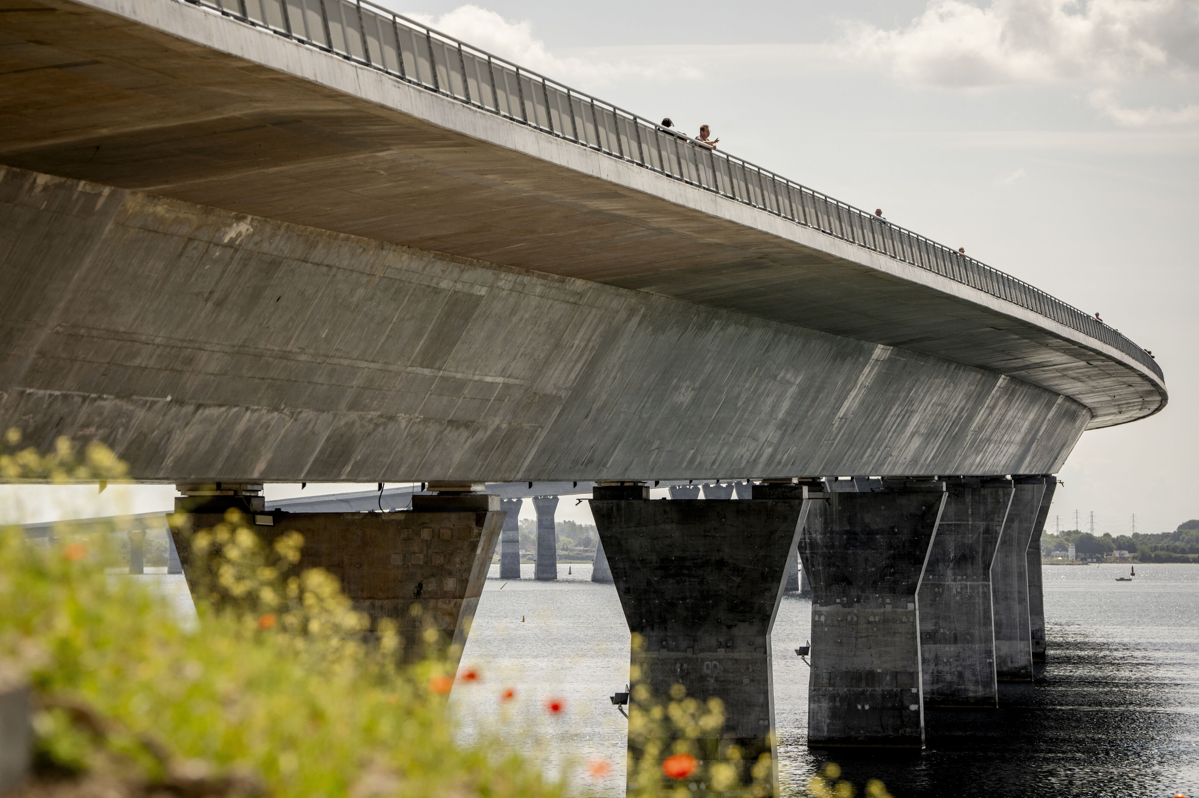 Siden marts i år har biler, cykler og gående kunnet benytte sig af den nye Storstrømsbro. Broen blev officielt indviet den 6. juni. Sidste fase, som indbefatter åbning for togtrafikken, forventes åben før tid. (Arkivfoto).