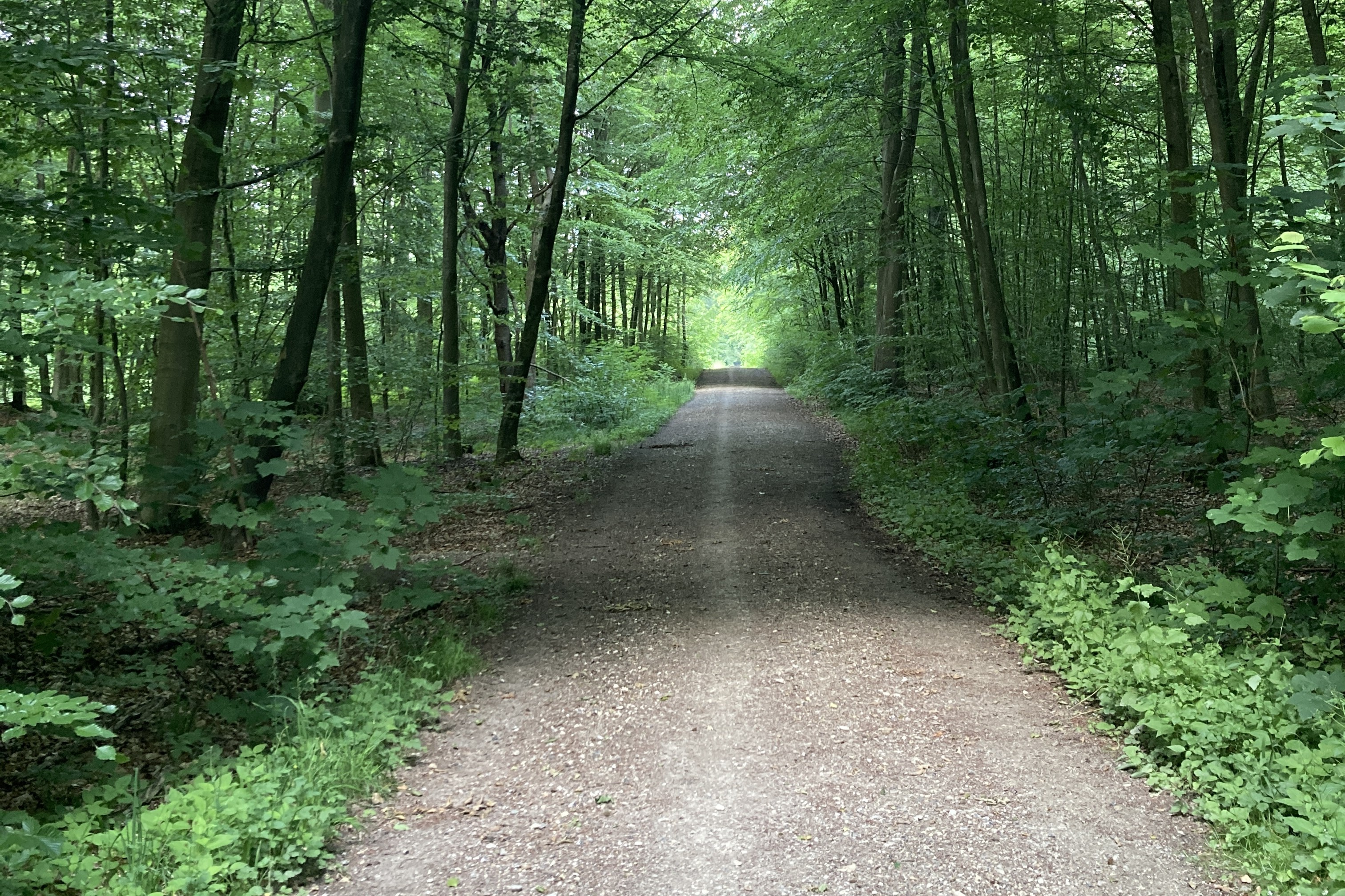 Grønholtvang