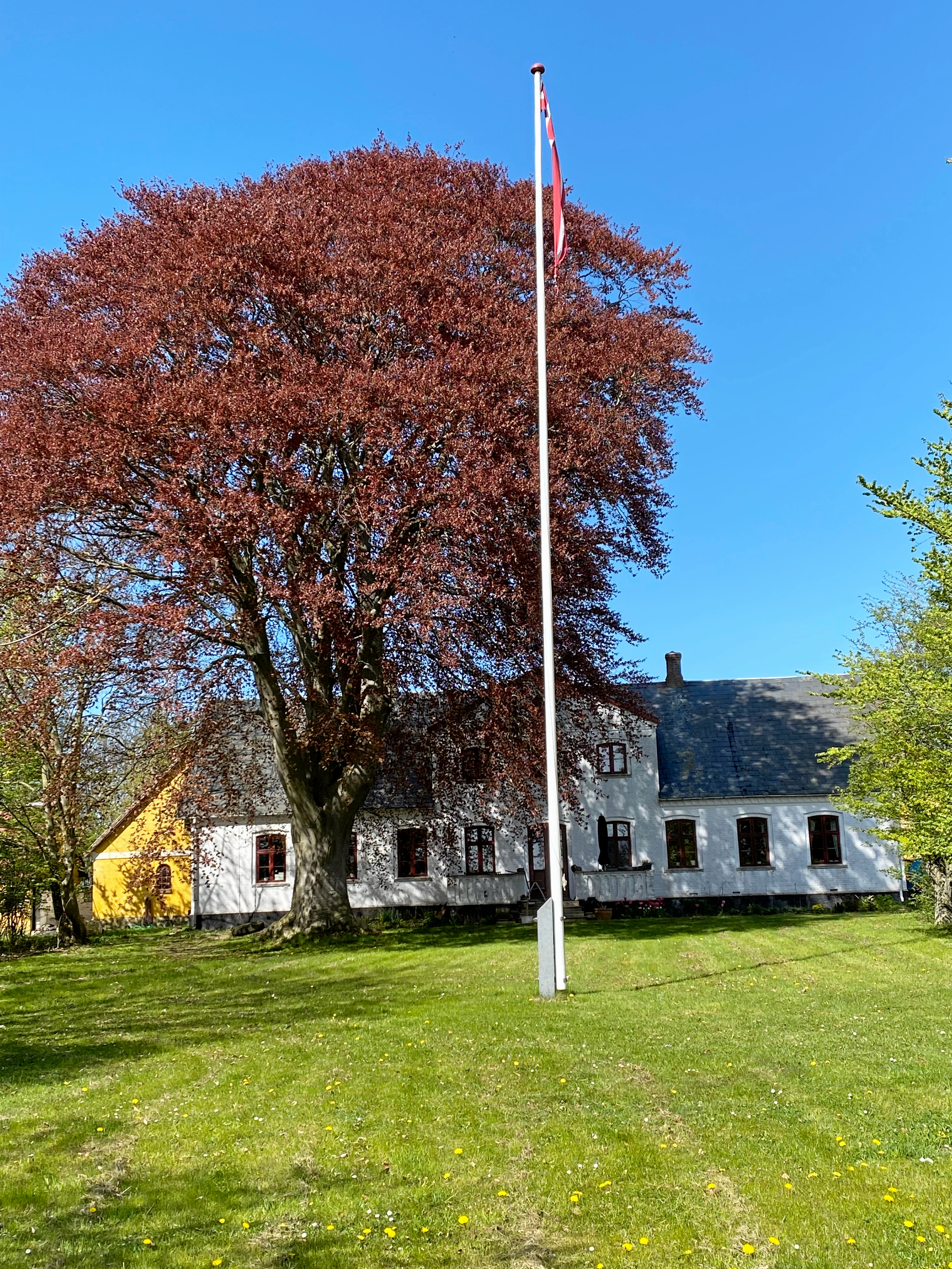Ejerne af Ågård markerer 150 året for, at gården blev flyttet ud på marken. Derfor er den emnet for ugens udgave af 'Kend din by'.