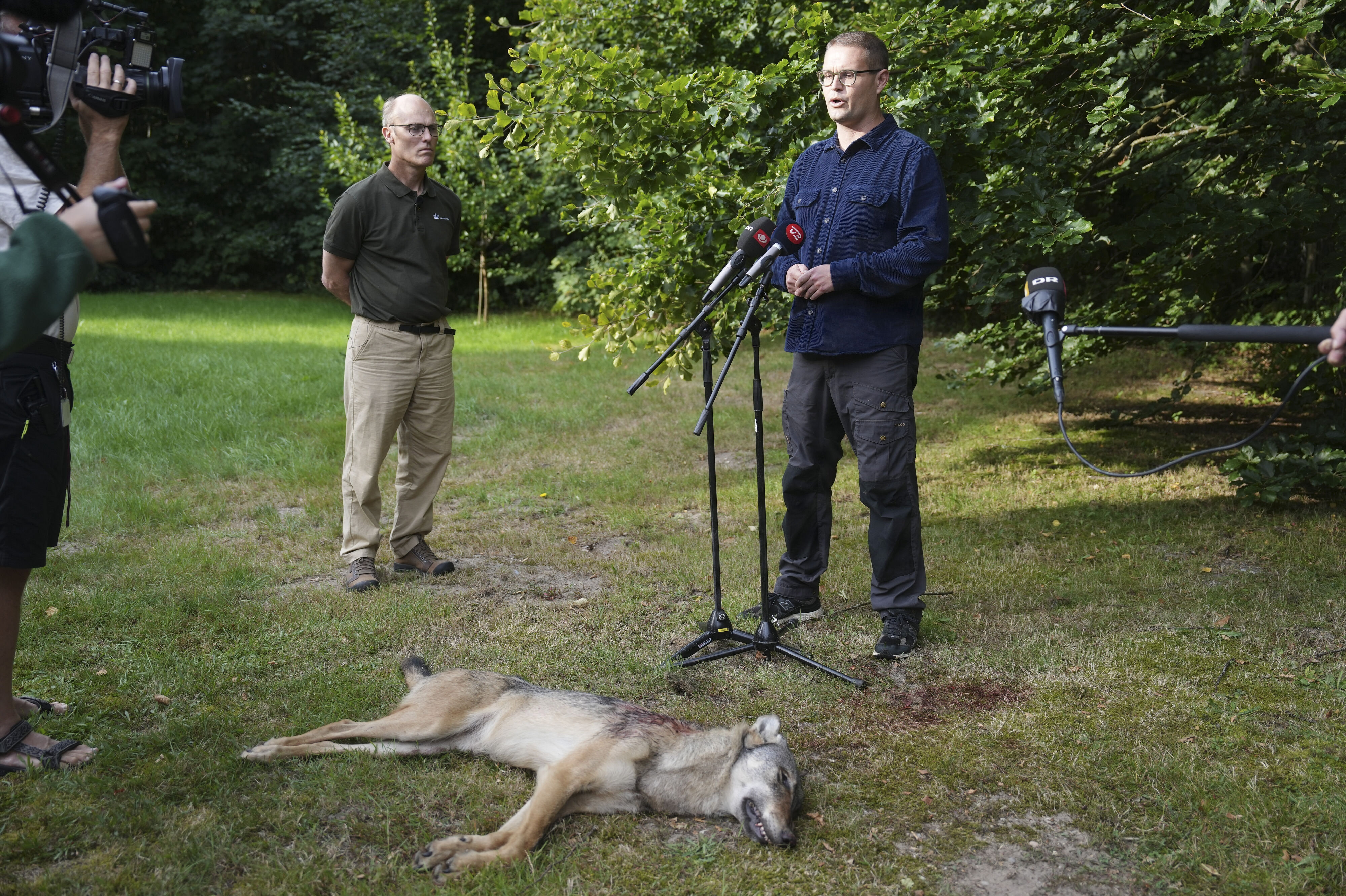 Minister for natur og dyrevelfærd Christian Rabjerg Madsen (S) holdt ulve-pressemøde 14. august med den døde ulv foran sig. Ti timer forinden blev ulven skudt.