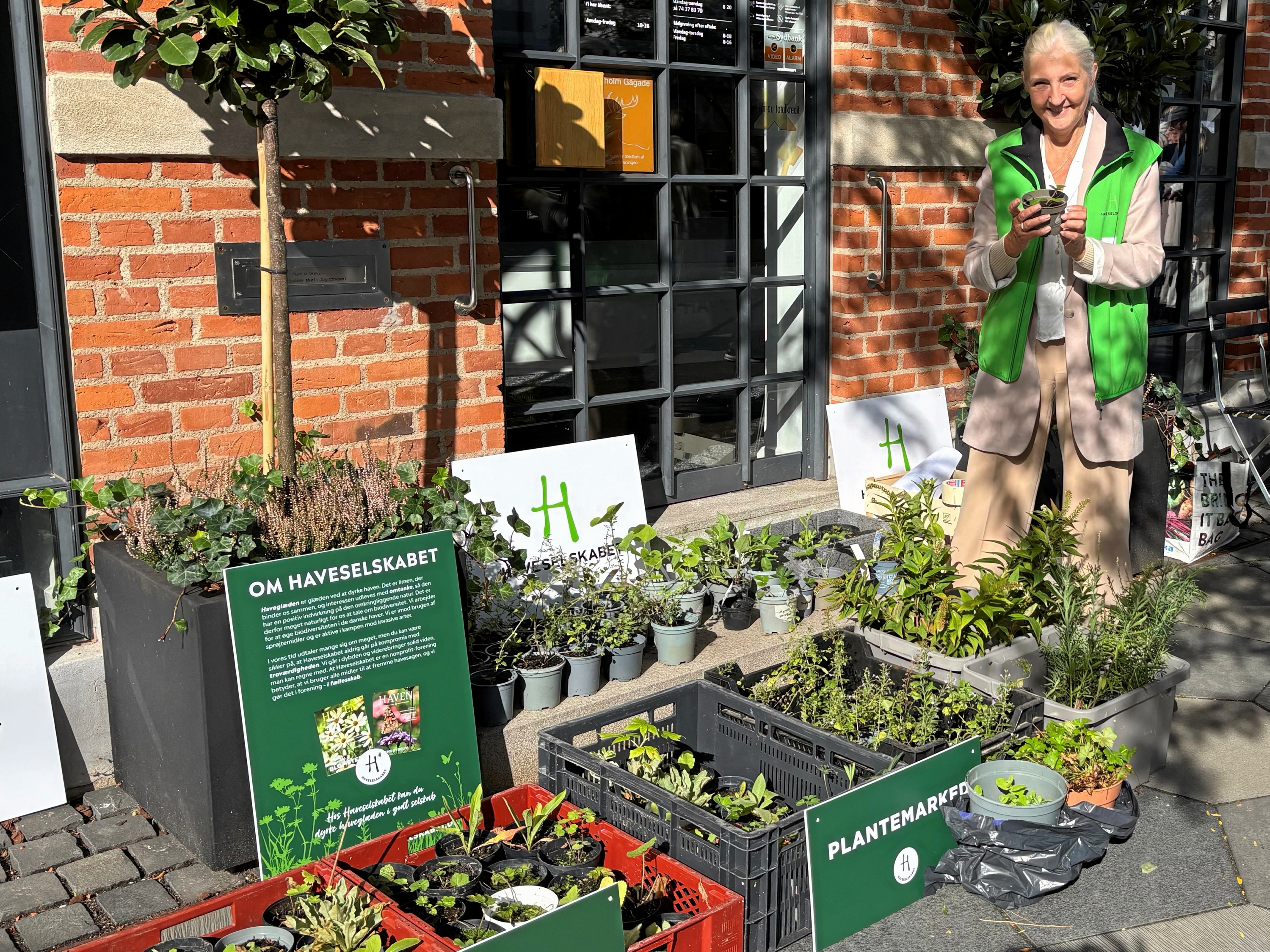Katrine Krogbeck, bestyrelsesformand i Haveselskabet Hørsholm, inviterer til plantebyttedag.
