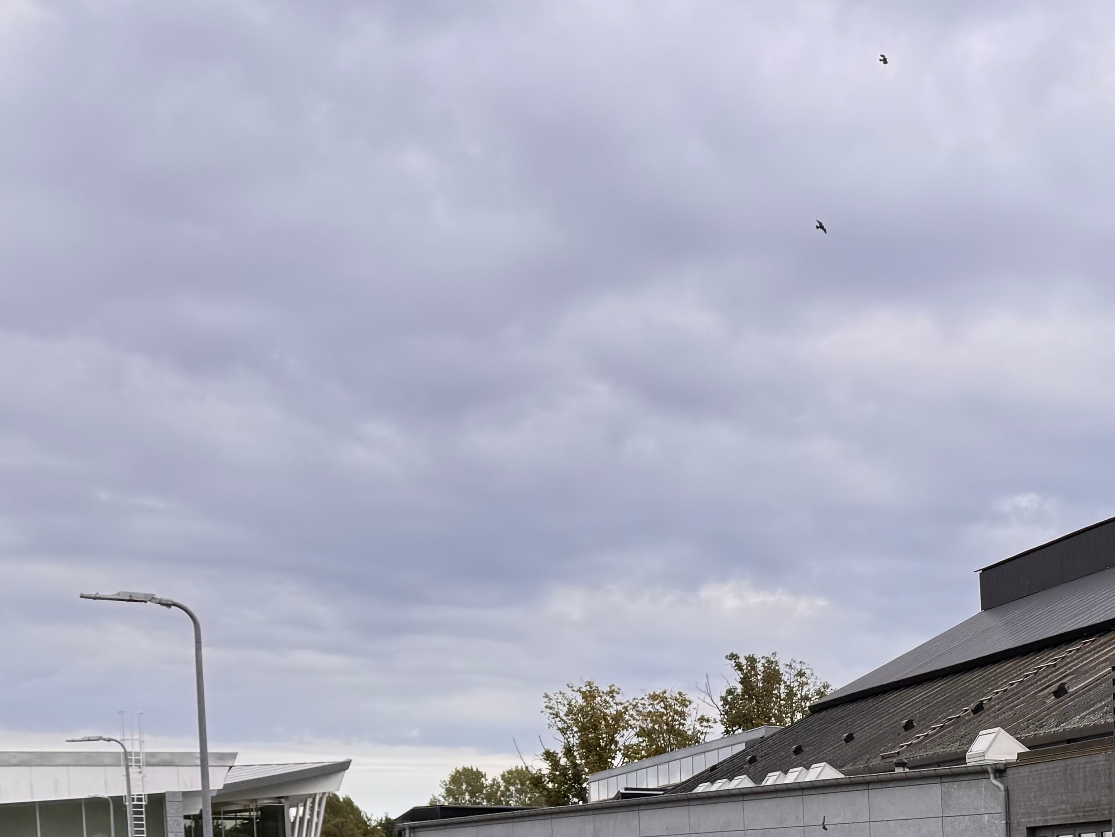 Hal A i Ringsted Sportscenter skal renoveres og fremover suppleres af en helt ny dobbelthal. - Ringsted Kommune Hal A i Ringsted Sportscenter skal renoveres og fremover suppleres af en helt ny dobbelthal.