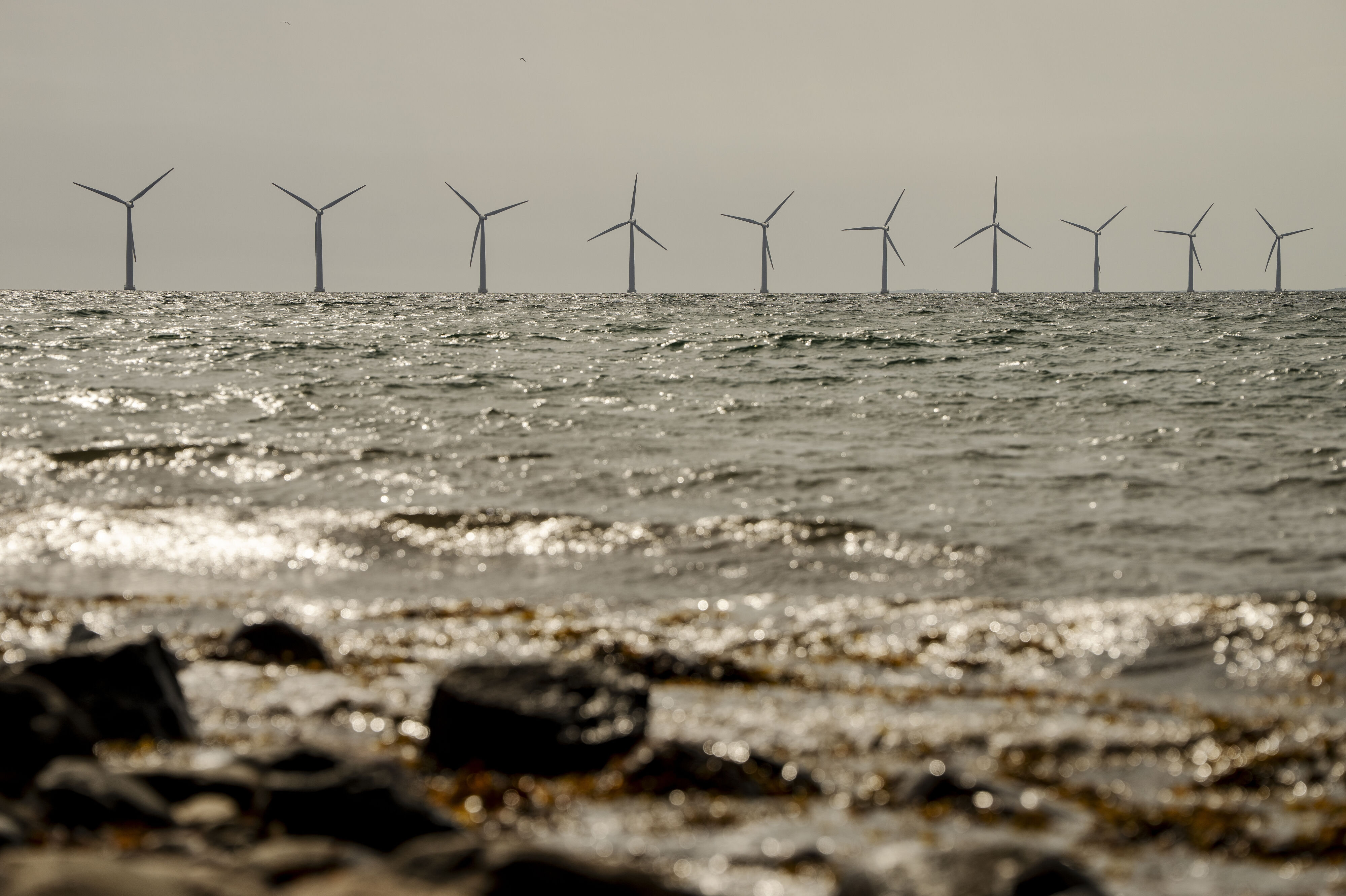 I weekenden kommer der ifølge energiselskabet OK masser af strøm fra især vindmøller. Det får elprisen til at dykke. På billedet ses havvindmøller ved Samsø. (Arkivfoto).