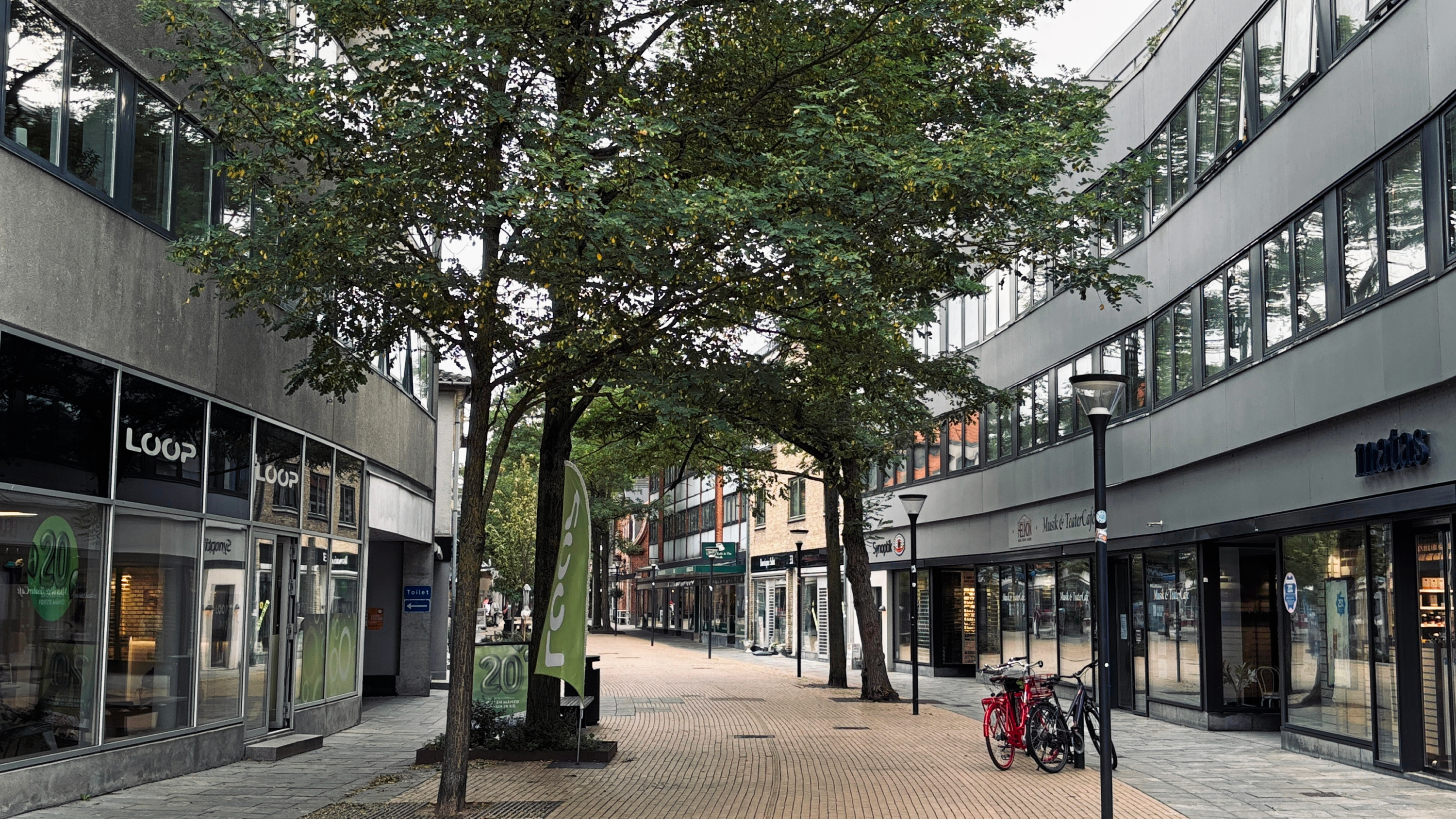 Flere butiksejere i Hovedgaden i Birkerød er stærkt utilfredse med alt det rod, som træerne i gaden forårsager. Nu kan der være en løsning på vej.