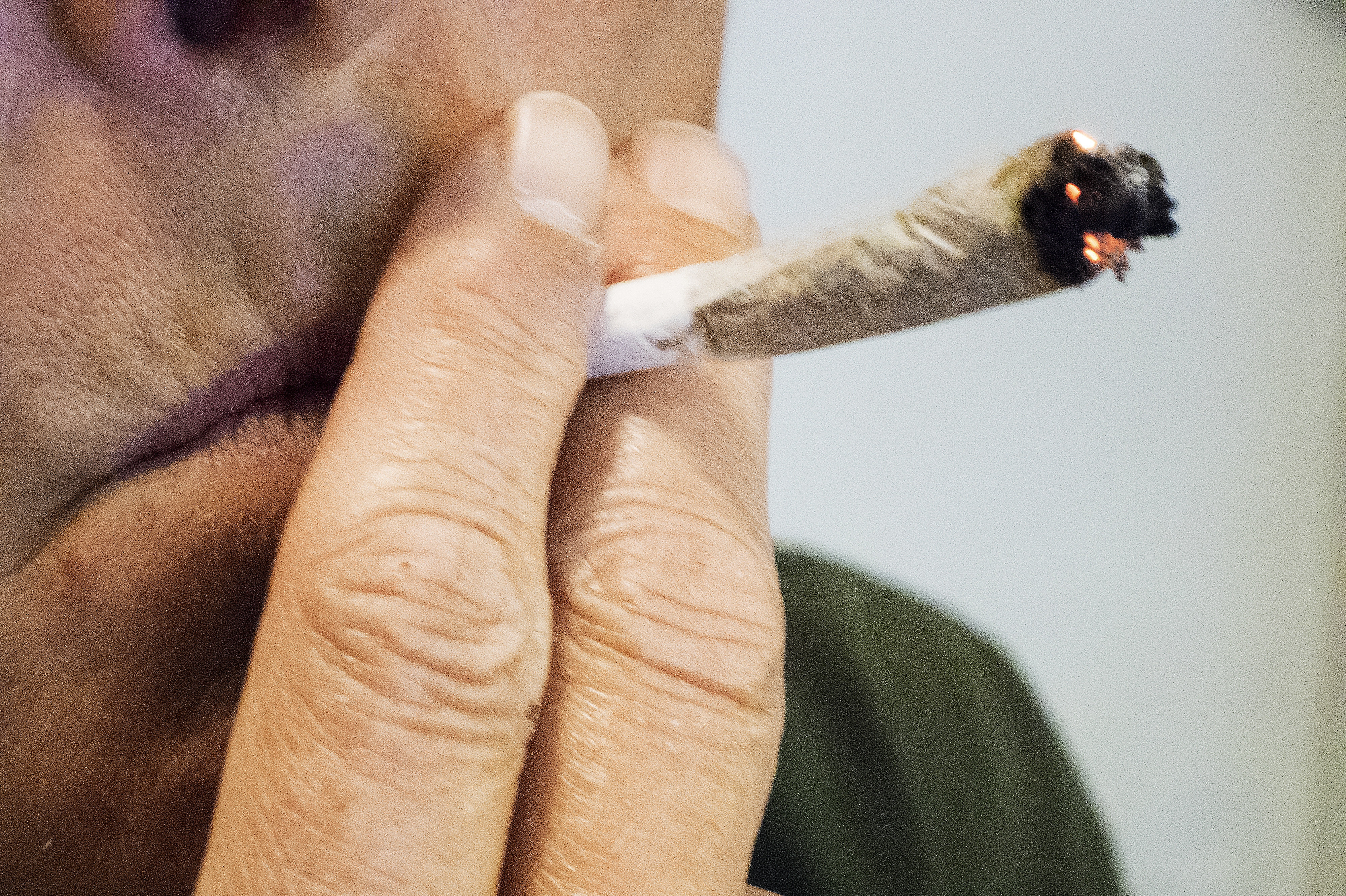 Narkohunden Tjald-Fe fra Midt- og Vestsjællands Politi fik færten af hash flere gange, da politiet torsdag besøgte uddannelsesinstitution i Roskilde. Det førte til fund af hashklump på 18,7 gram. (Arkivfoto).