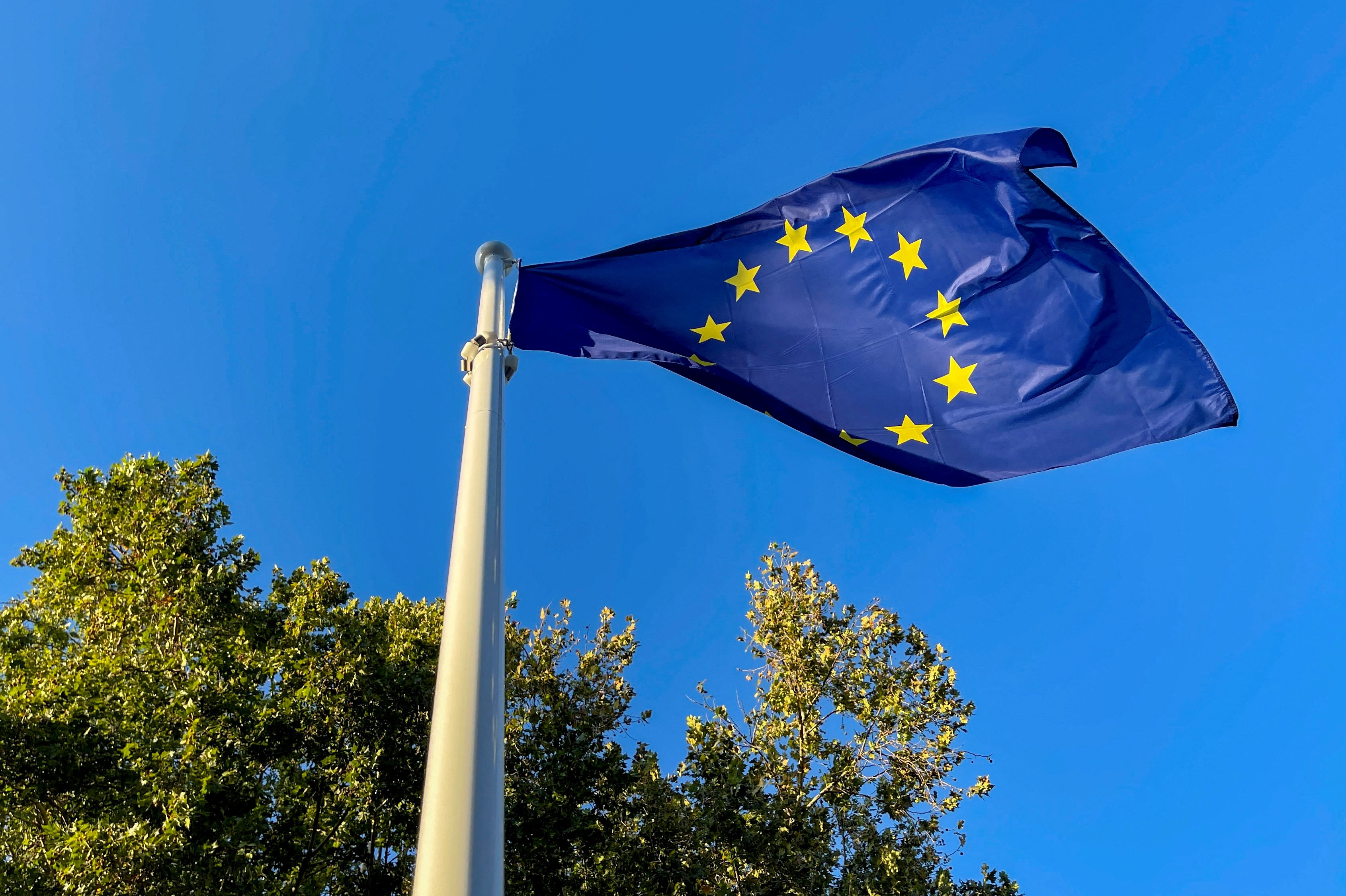 Økonomer forventer flere rentestigninger i år, fordi inflationen i eurozonen ligger et pænt stykke over målet på to procent. (Arkivfoto).