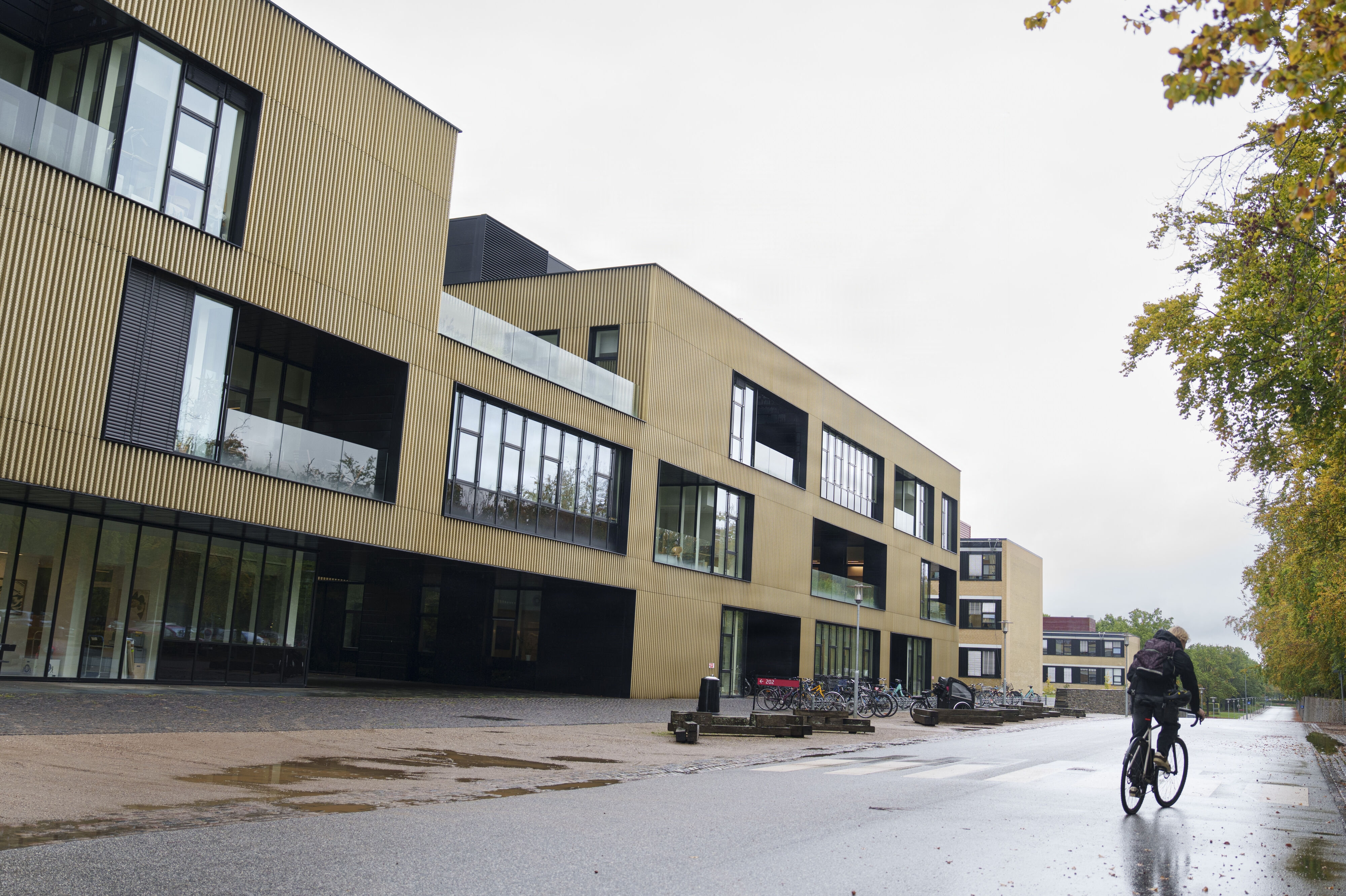 DTU, der ligger i Lyngby nord for København, har været udsat for et hackerangreb, hvor en "stor mængde data" er blevet hentet.