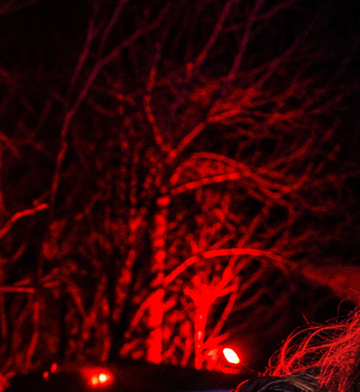 – Vi har aldrig bygget noget i den her størrelsesorden før. Cirkusland giver os nogle helt særlige muligheder, fordi vi både kan arbejde med de enorme indendørs arealer, cirkusteltene og de udendørs omgivelser, siger Patrick Spiegelberg. - PR – Vi har aldrig bygget noget i den her størrelsesorden før. Cirkusland giver os nogle helt særlige muligheder, fordi vi både kan arbejde med de enorme indendørs arealer, cirkusteltene og de udendørs omgivelser, siger Patrick Spiegelberg.