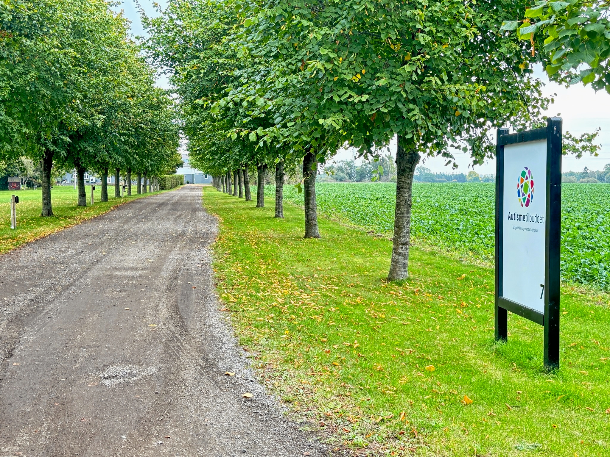 Siden sommer har Autismetilbuddet været centrum i en omfattende sag om ledelse, drift og kvalitet.