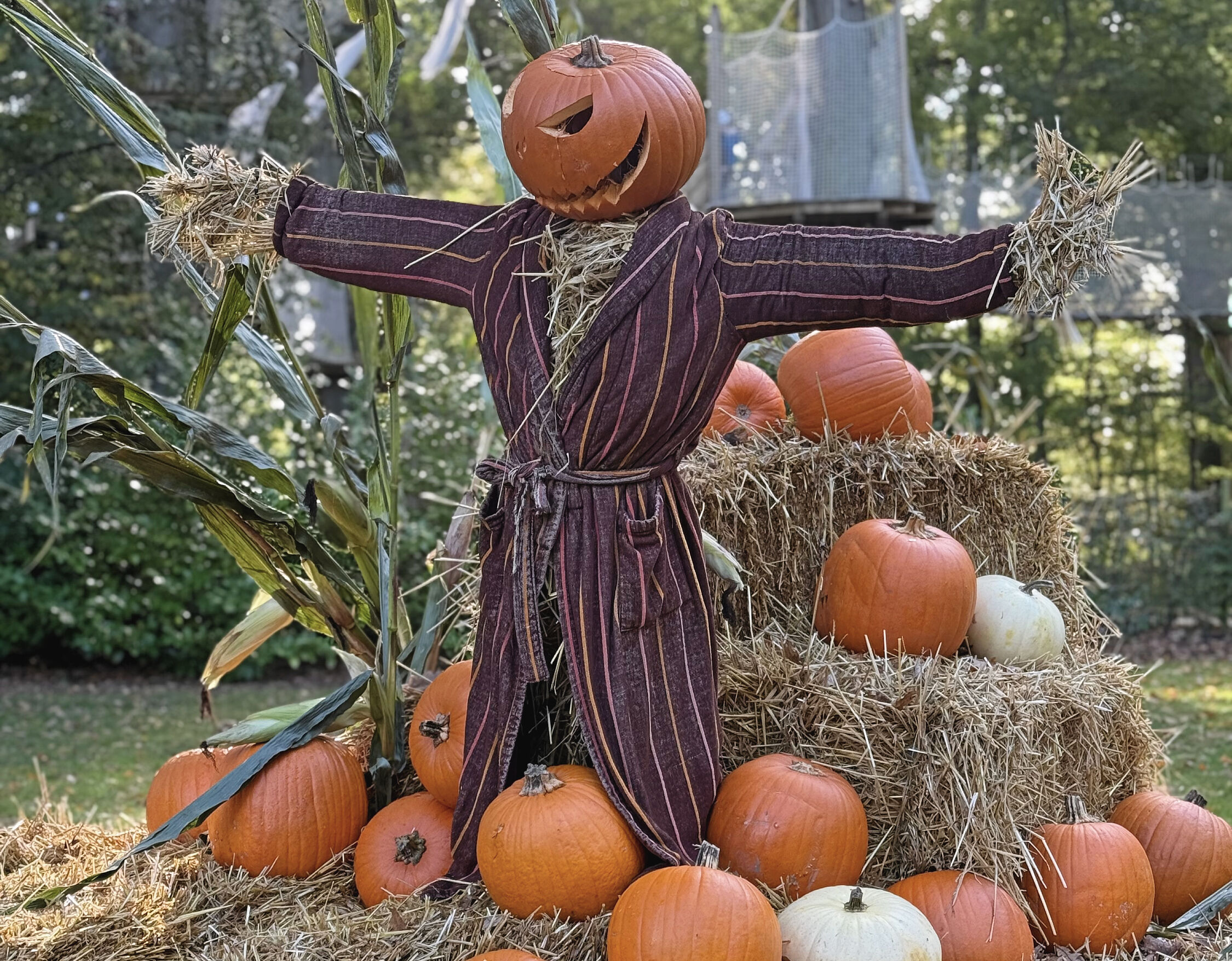 Slotsparken ved Gavnø er igen i år klædt på til halloween-(u)hygge i efterårsferien. Og i år er aftenåbent udvidet til fire dage.