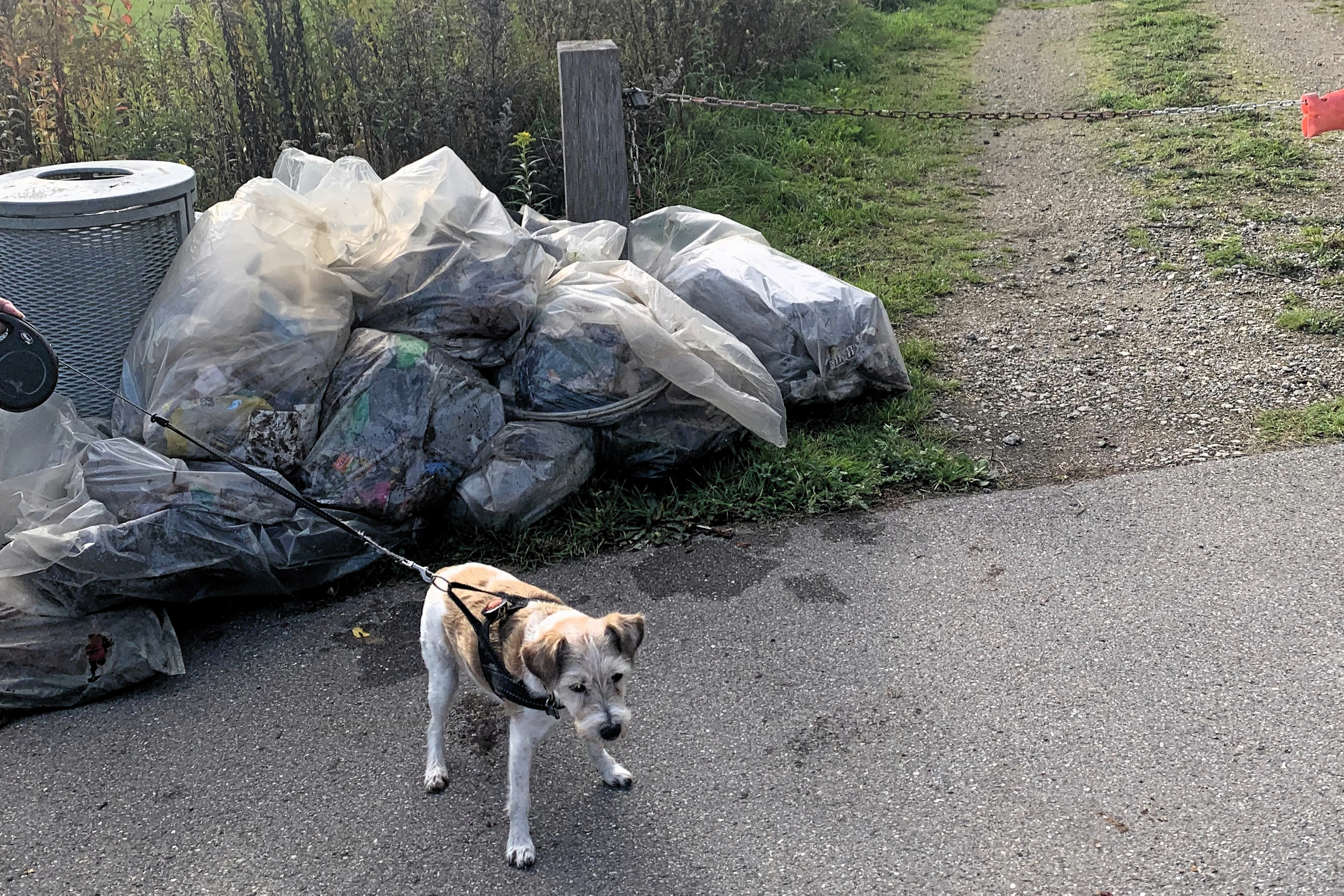 Under en gåtur med hunden, så Kirsten Rossing en bunke af affaldssække. Hun troede nogen havde holdt fest.