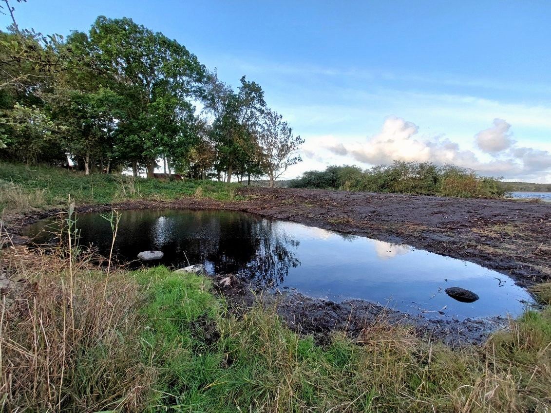 På den største ø i Roskilde Fjord, Eskilsø, bliver en række vandhuller forbedret til gavn for især padder og vandlevende insekter.