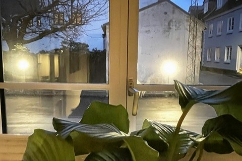 De runde lamper er sat op langs hele kulgrunden - her set fra en stuelejlighed i Sophie Brahes Gade i februar. Naboerne håber fortsat på at få dem skiftet ud med nogle mindre skarpe, så denne vinter bliver uden gener.